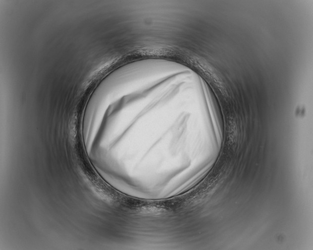 X0000096670586200802261454