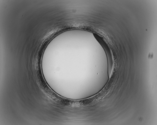 X0000096670587200802261454