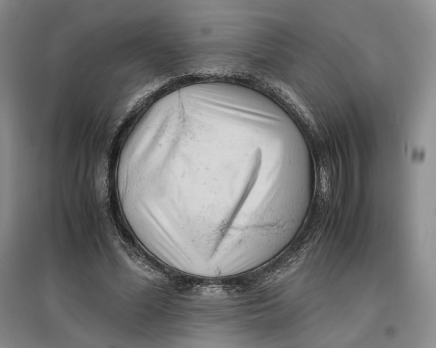 X0000096670588200802261454