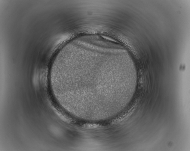 X0000096670590200802261454