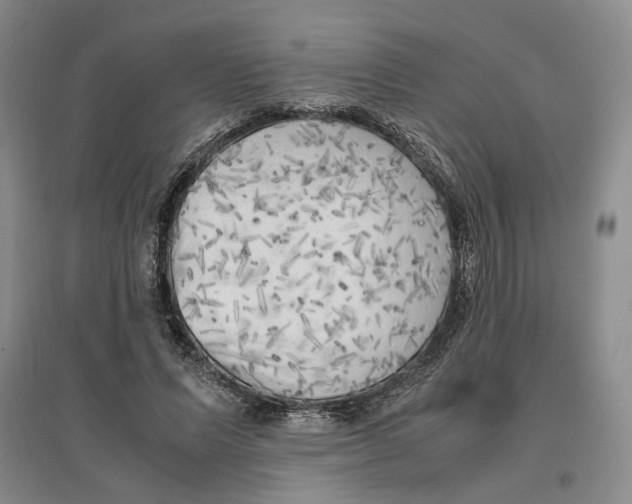 X0000096670591200802261454