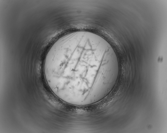 X0000096670592200802261454