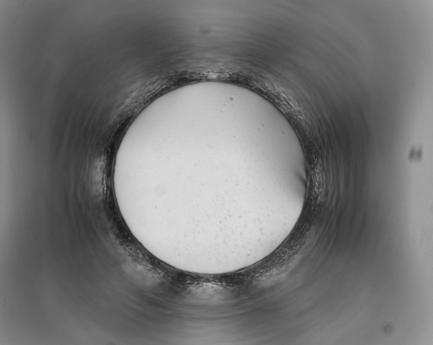 X0000096670594200802261454