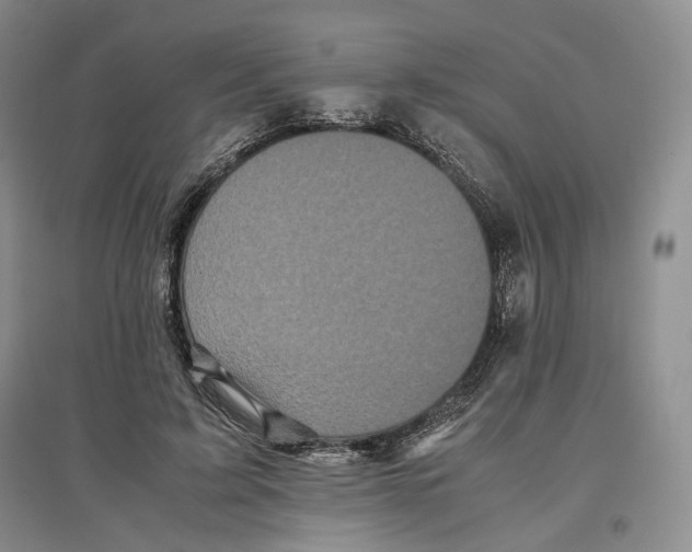 X0000096670595200802261454