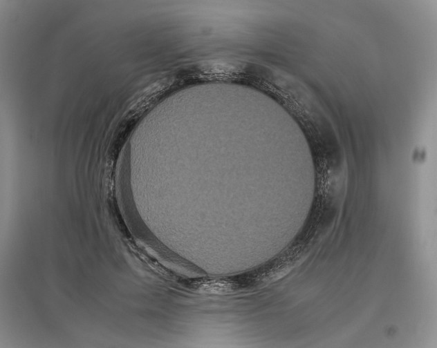 X0000096670599200802261454