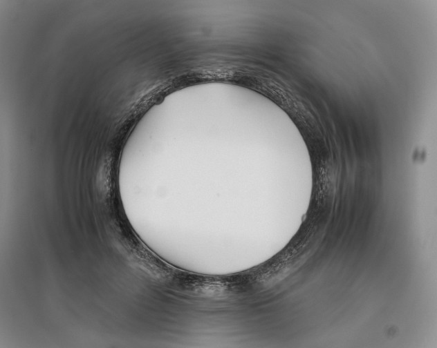 X0000096670600200802261454