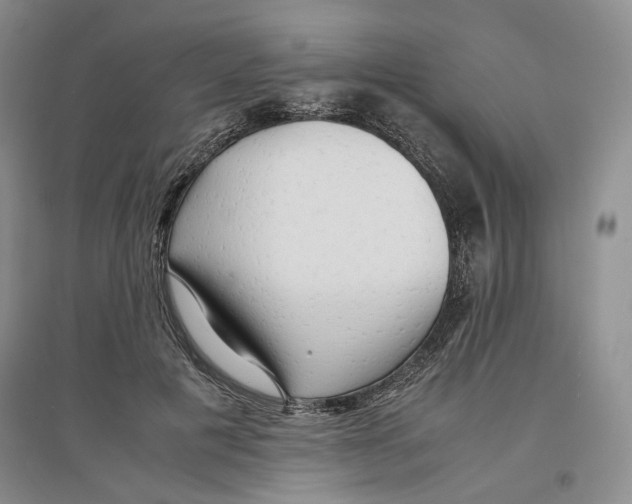 X0000096670601200802261454