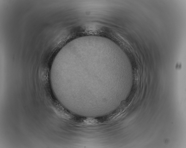 X0000096670603200802261454