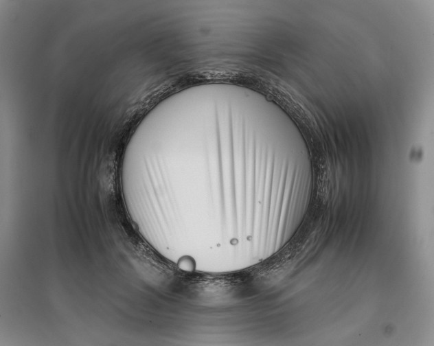 X0000096670604200802261454