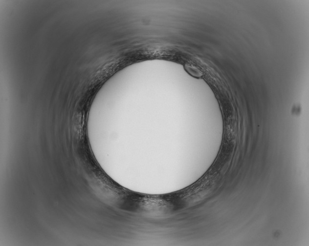 X0000096670605200802261454