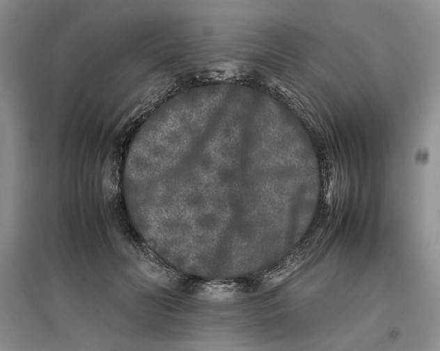 X0000096670606200802261454