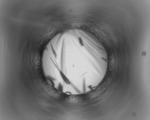 X0000096670608200802261454