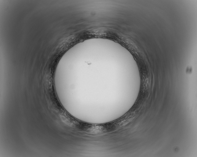 X0000096670609200802261454