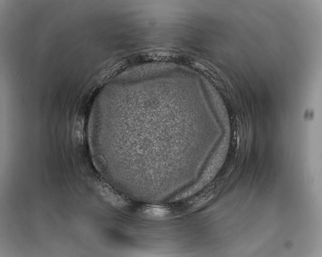 X0000096670610200802261454