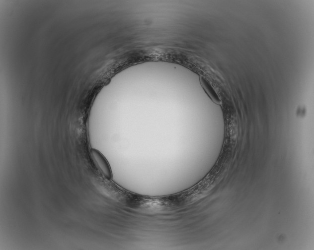 X0000096670611200802261454
