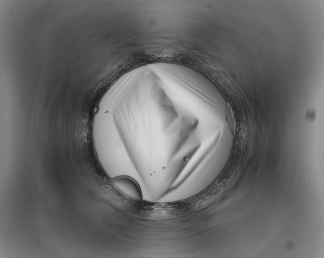 X0000096670612200802261454