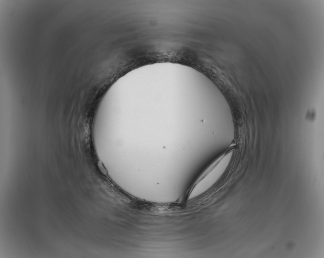 X0000096670613200802261454