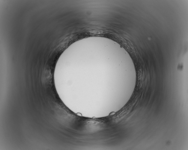 X0000096670614200802261454