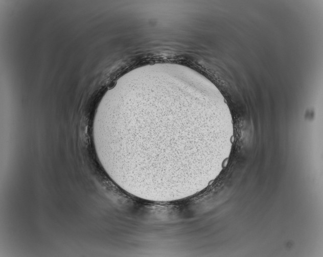 X0000096670615200802261454
