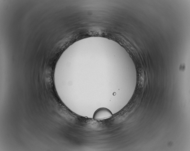X0000096670616200802261454