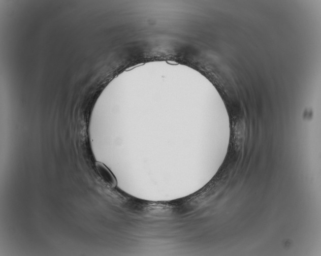 X0000096670617200802261454