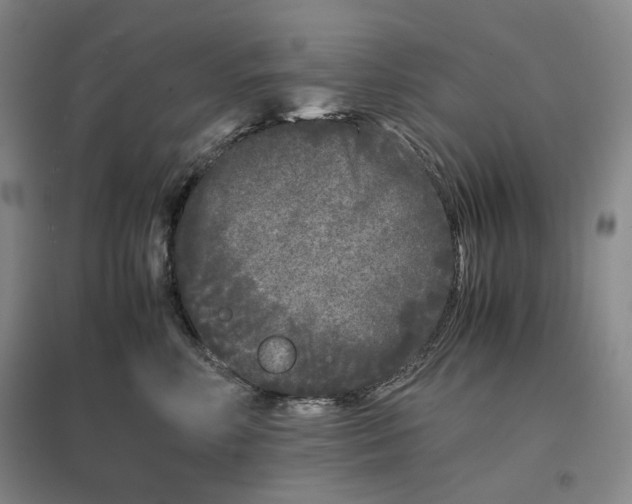 X0000096670618200802261454