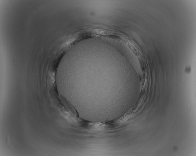 X0000096670621200802261454
