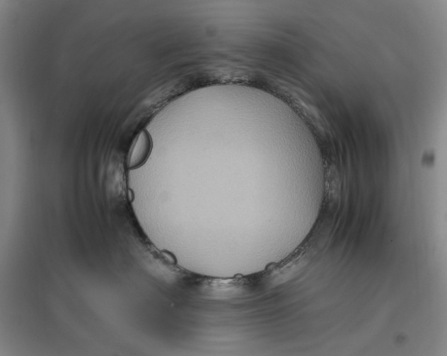 X0000096670622200802261454