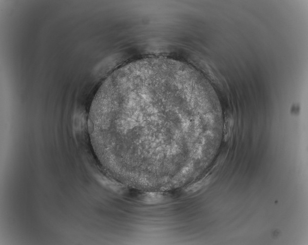 X0000096670623200802261454