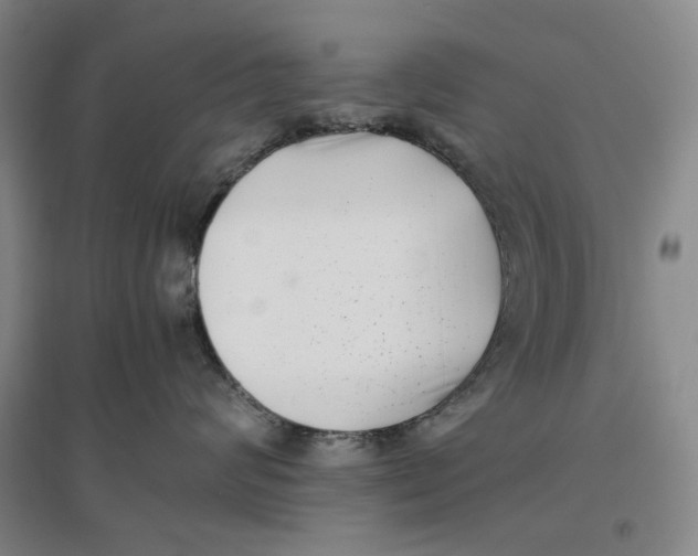 X0000096670624200802261454