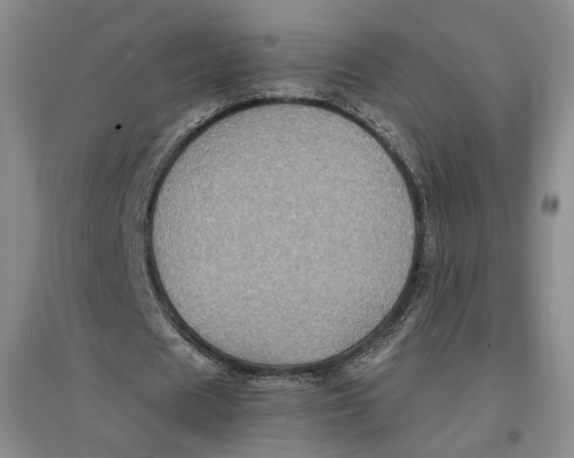 X0000096670625200802261453