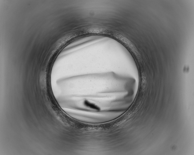 X0000096670626200802261453