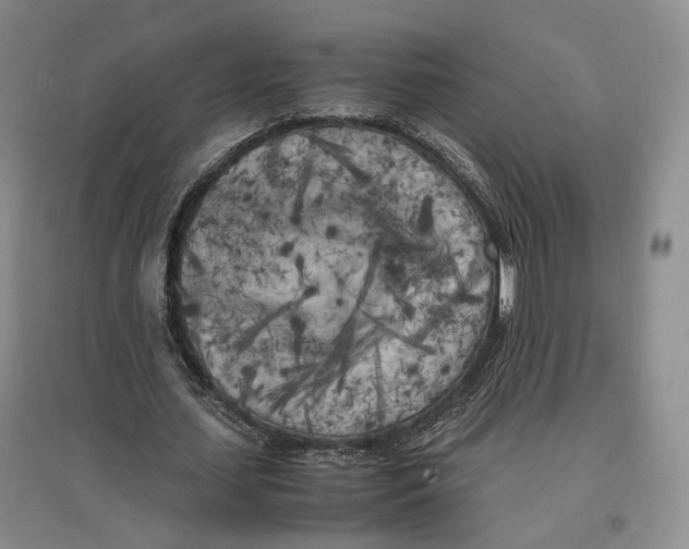 X0000096670627200802261453