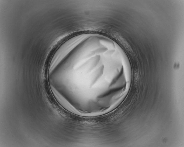 X0000096670628200802261453