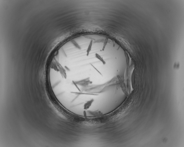 X0000096670630200802261453