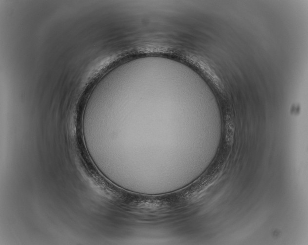 X0000096670631200802261453