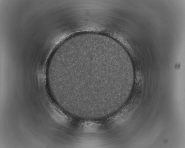 X0000096670632200802261453