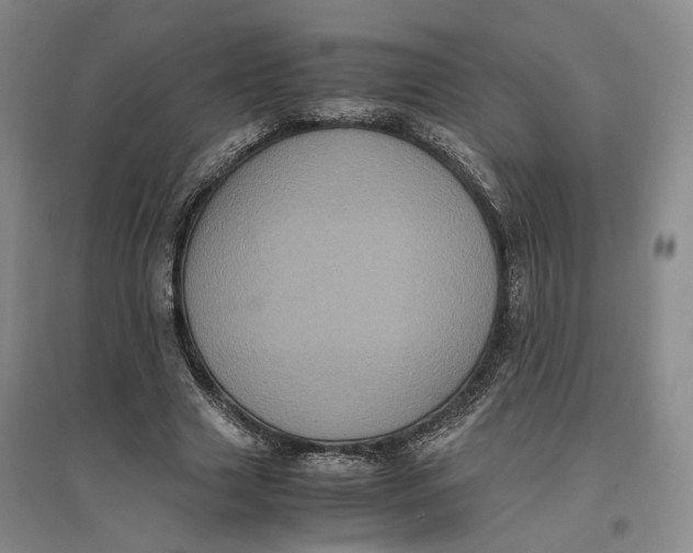 X0000096670633200802261453