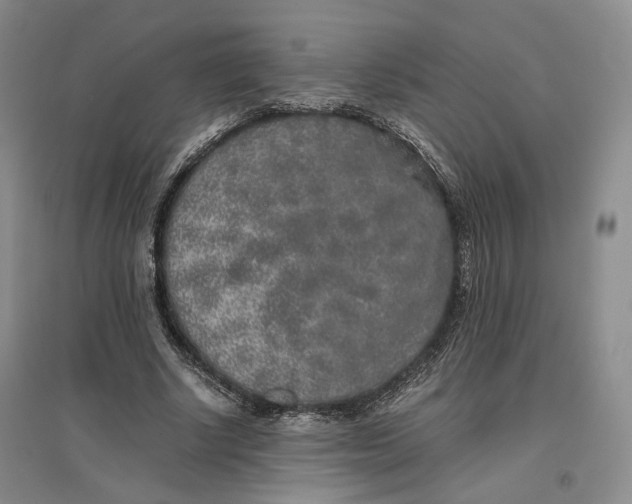 X0000096670634200802261453