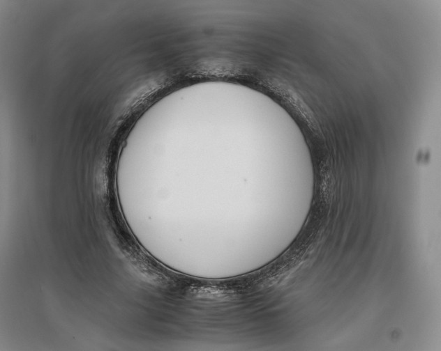 X0000096670635200802261453