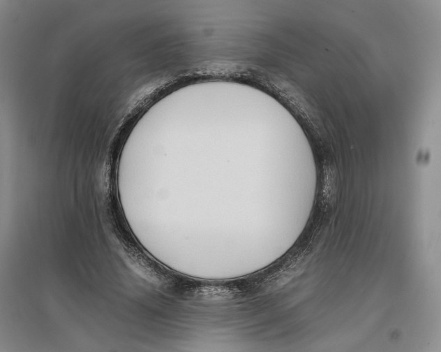 X0000096670636200802261453