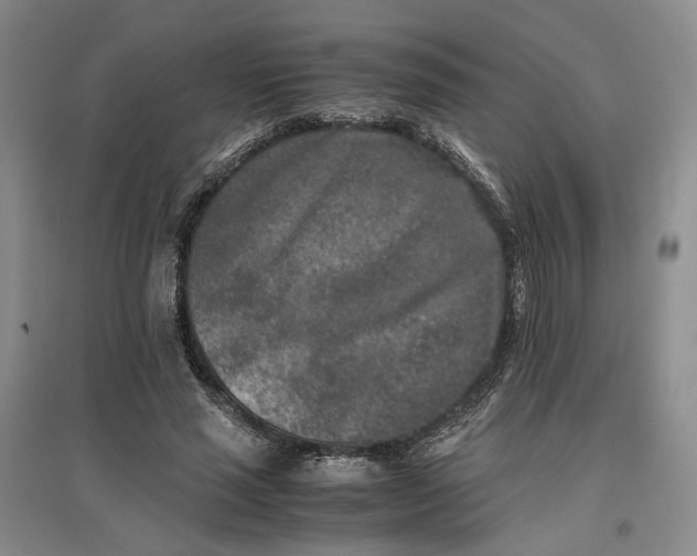 X0000096670637200802261453