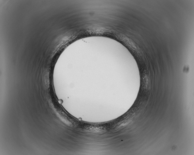 X0000096670638200802261453