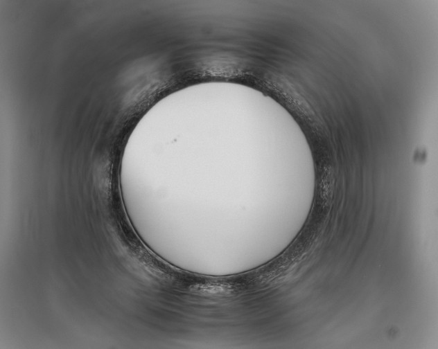 X0000096670639200802261453