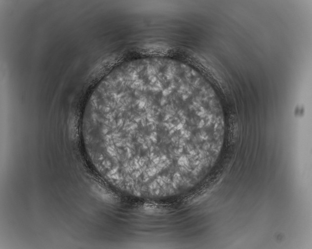 X0000096670641200802261453
