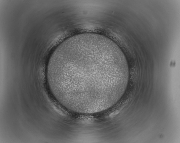 X0000096670642200802261453