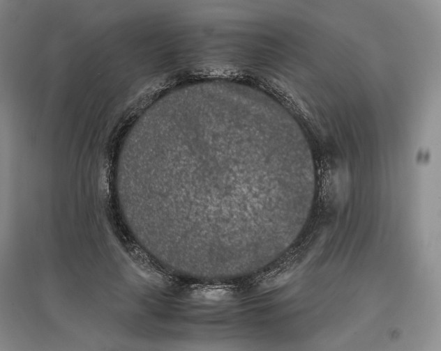 X0000096670643200802261453