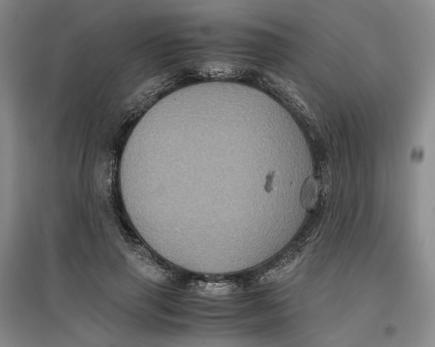 X0000096670645200802261453