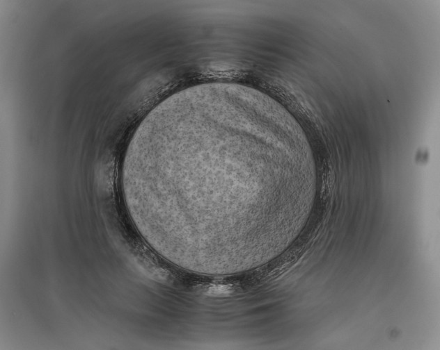 X0000096670647200802261453