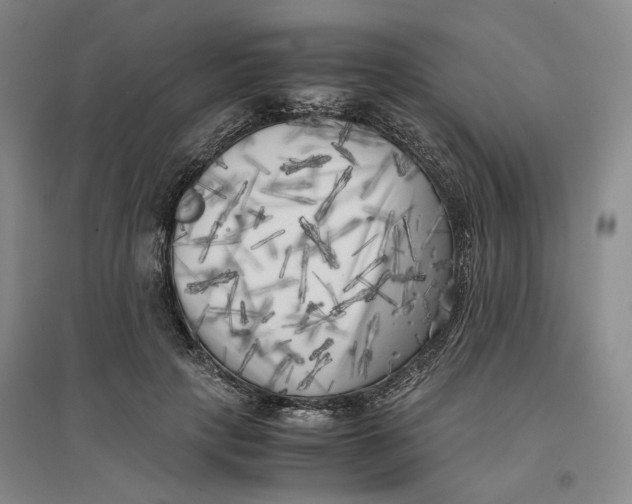 X0000096670649200802261453